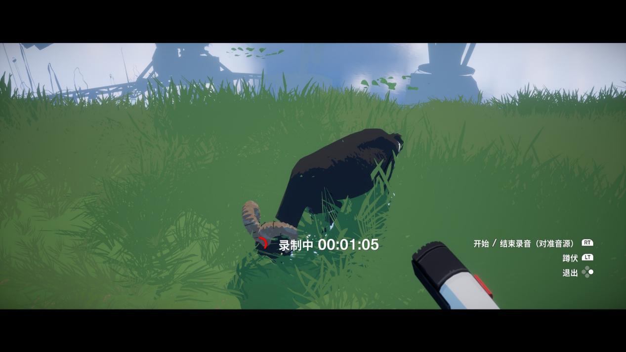 寄梦远方为什么评分这么高,寄梦远方评测