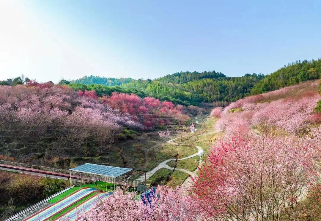 温汤镇旅游景区景点,温汤镇旅游宣传片