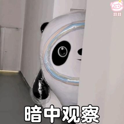 全民反诈谨防冒充老板诈骗陷阱,反诈行动警方破获交友诈骗案