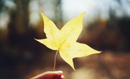 禅修中如何做心理治疗,禅修解决焦虑