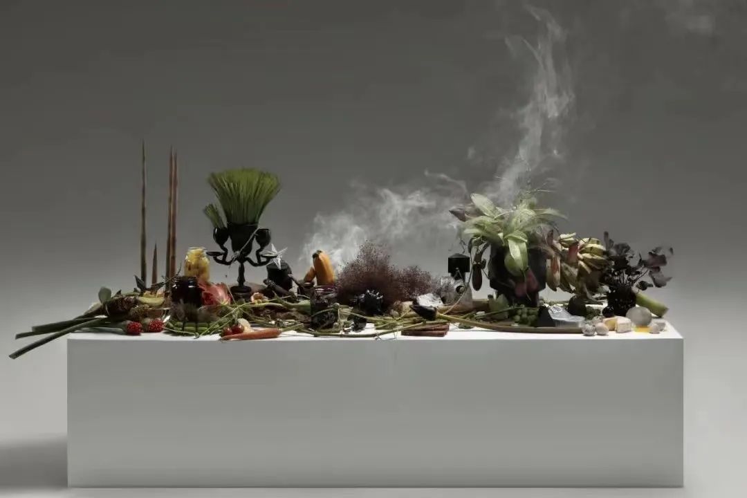 女神节感受春的气息,女神节芳香醉人