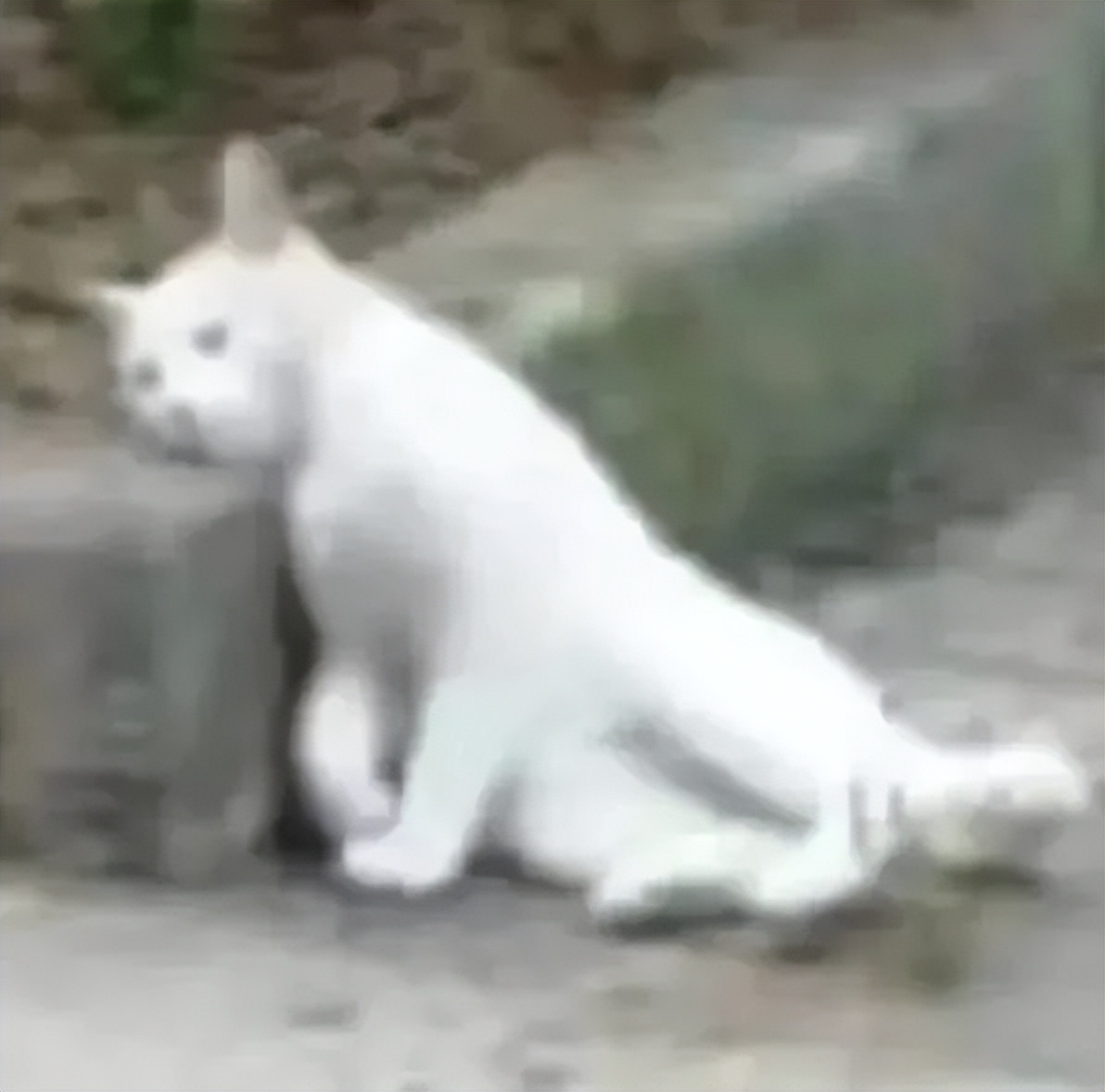 大腿两侧有白色条纹怎么消除,女生大腿外侧出现小条纹