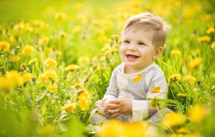 杨姓鼠年男孩起名两字名字一样吗,杨姓男宝宝起名最新羊年名字