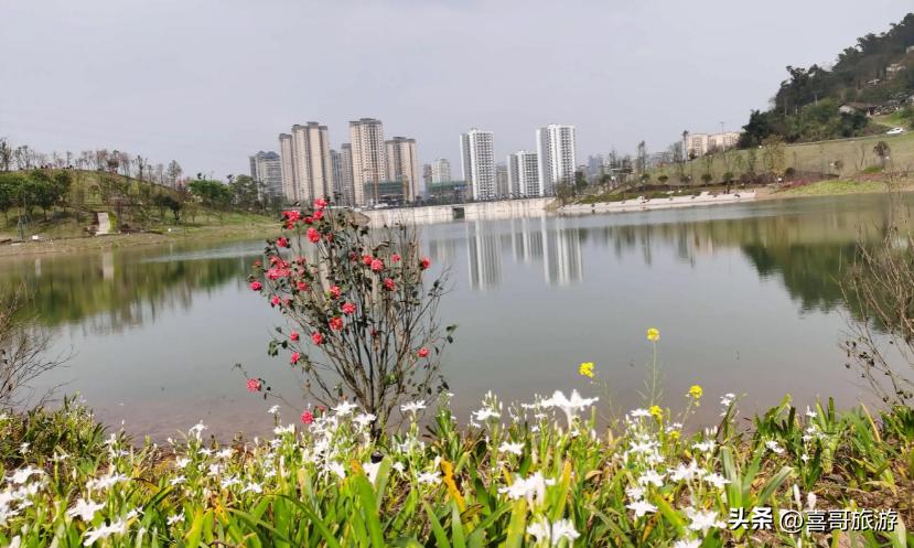 宜宾江安县旅游景点,宜宾市江安县旅游有些什么地方