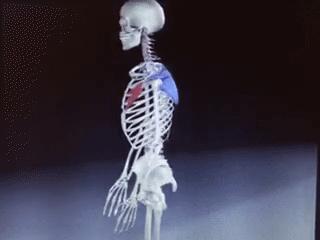 颈椎不好如何治疗最好,颈椎不好怎么预防和治疗