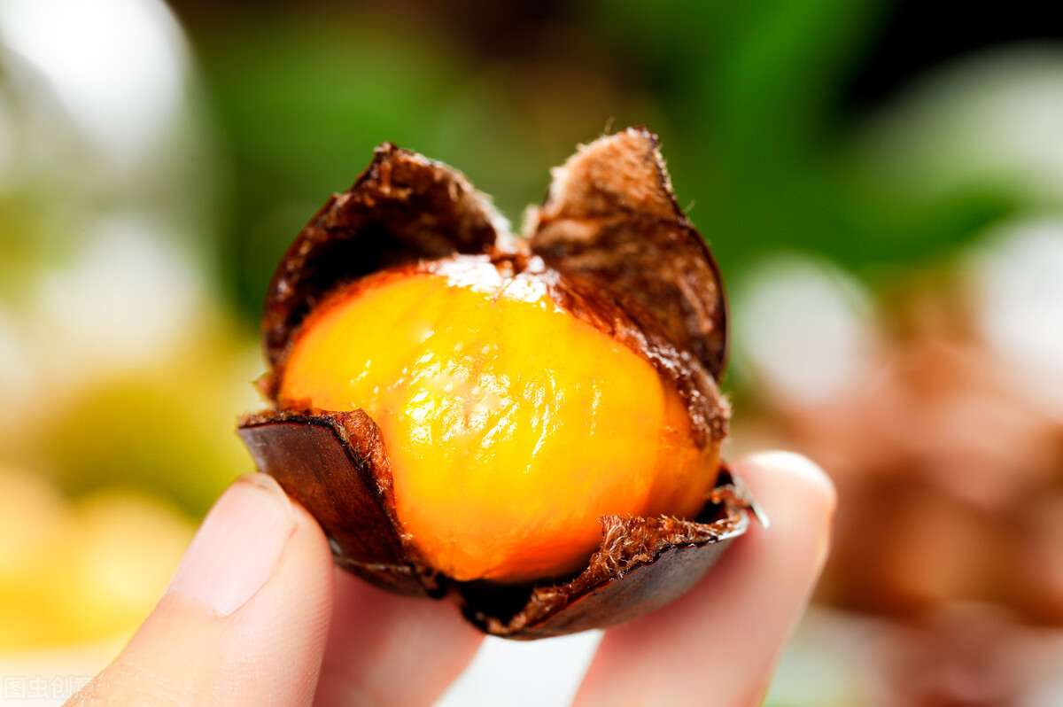 秒胖陷阱!2只鸡爪一碗饭,6颗冬枣一碗饭,10个板栗一碗饭