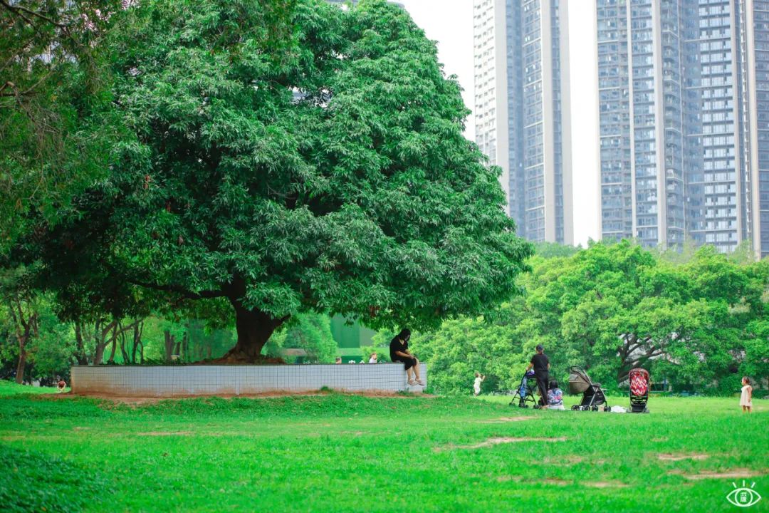 深圳值得去的70个公园你去过几个,深圳最值得去的七大主题公园