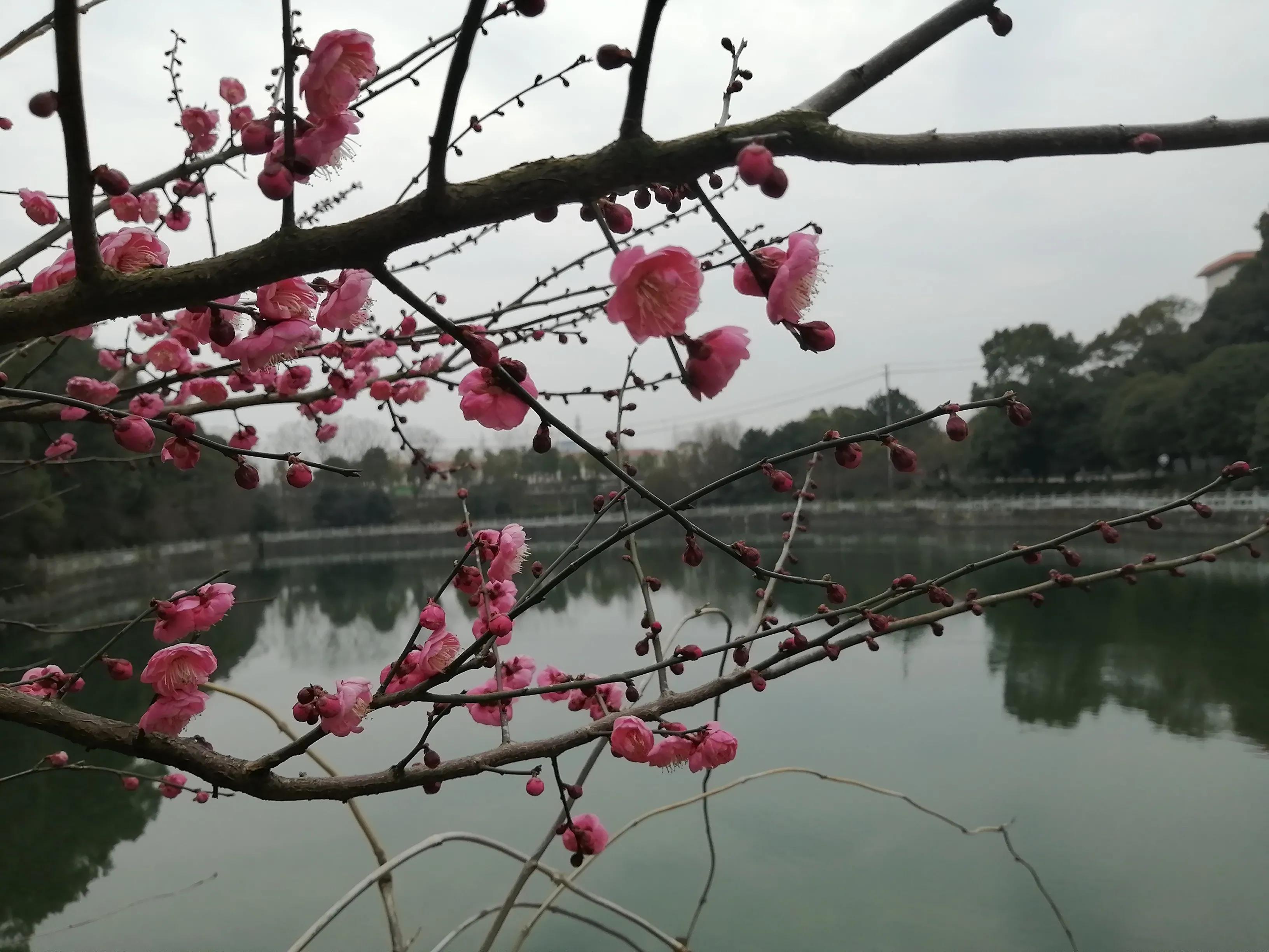 我陪妻子边治病，边旅游，一半痛苦难熬，一半快乐逍遥