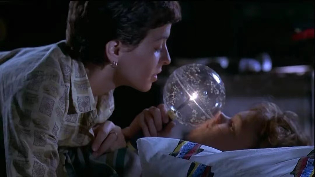 鳄鱼波鞋走天涯完整版在哪可以看,鳄鱼波鞋走天涯影片整体拍摄风格