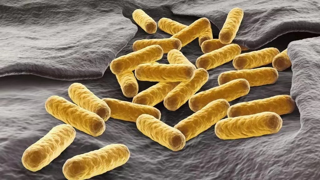 外阴总是很干怎么回事,外阴老是干是怎么回事