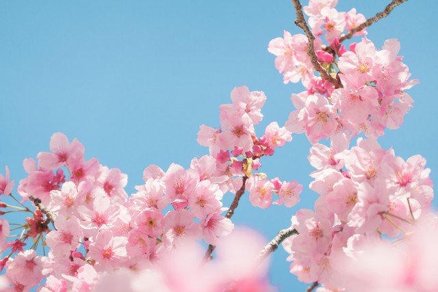 全国冬季最值得去旅游的10个地方,最适合去旅游的100个城市