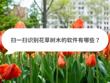 识别花草扫一扫的app,识别花草扫一扫软件下载