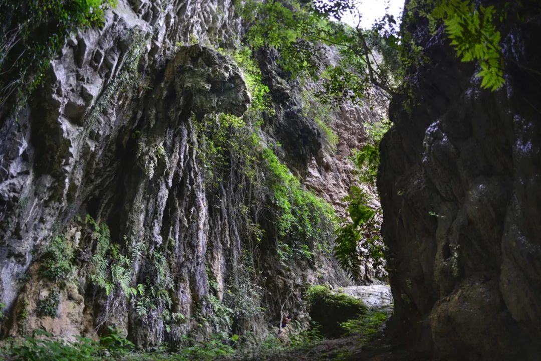 万州潭獐峡风景区攻略,重庆万州潭獐峡介绍