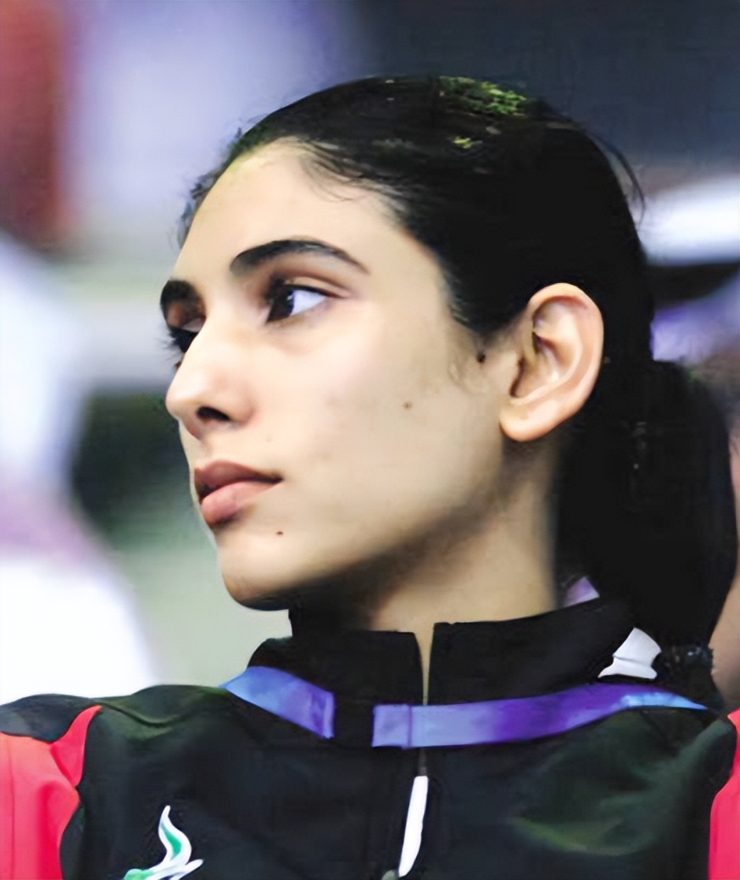 迪拜最美公主谢克哈 (迪拜王室梅萨公主)