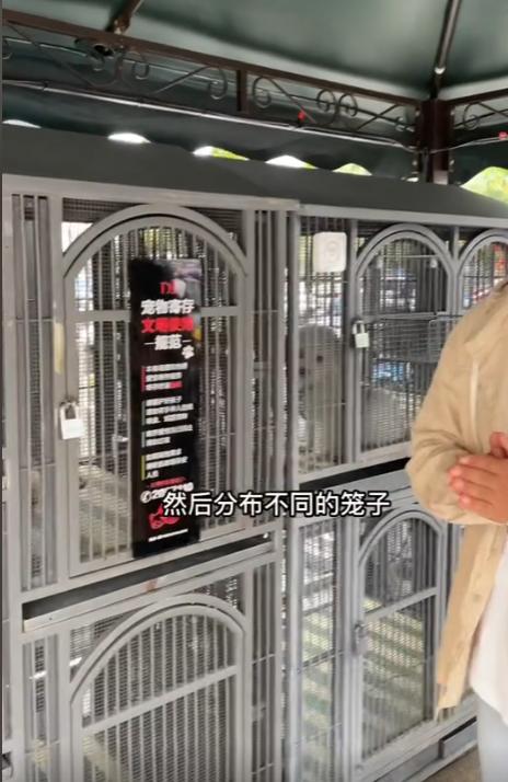 胖东来家乐福沃尔玛,胖东来为什么被称为神仙超市