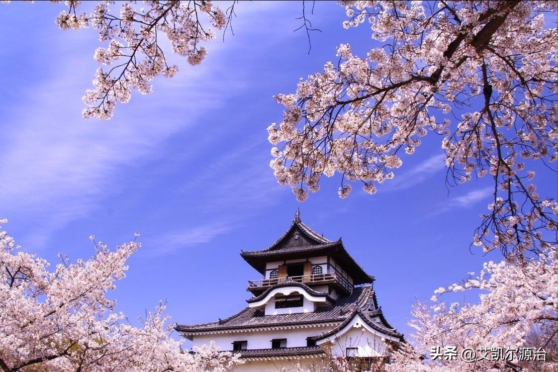 2019樱花之旅,2018年日本樱花季旅游攻略