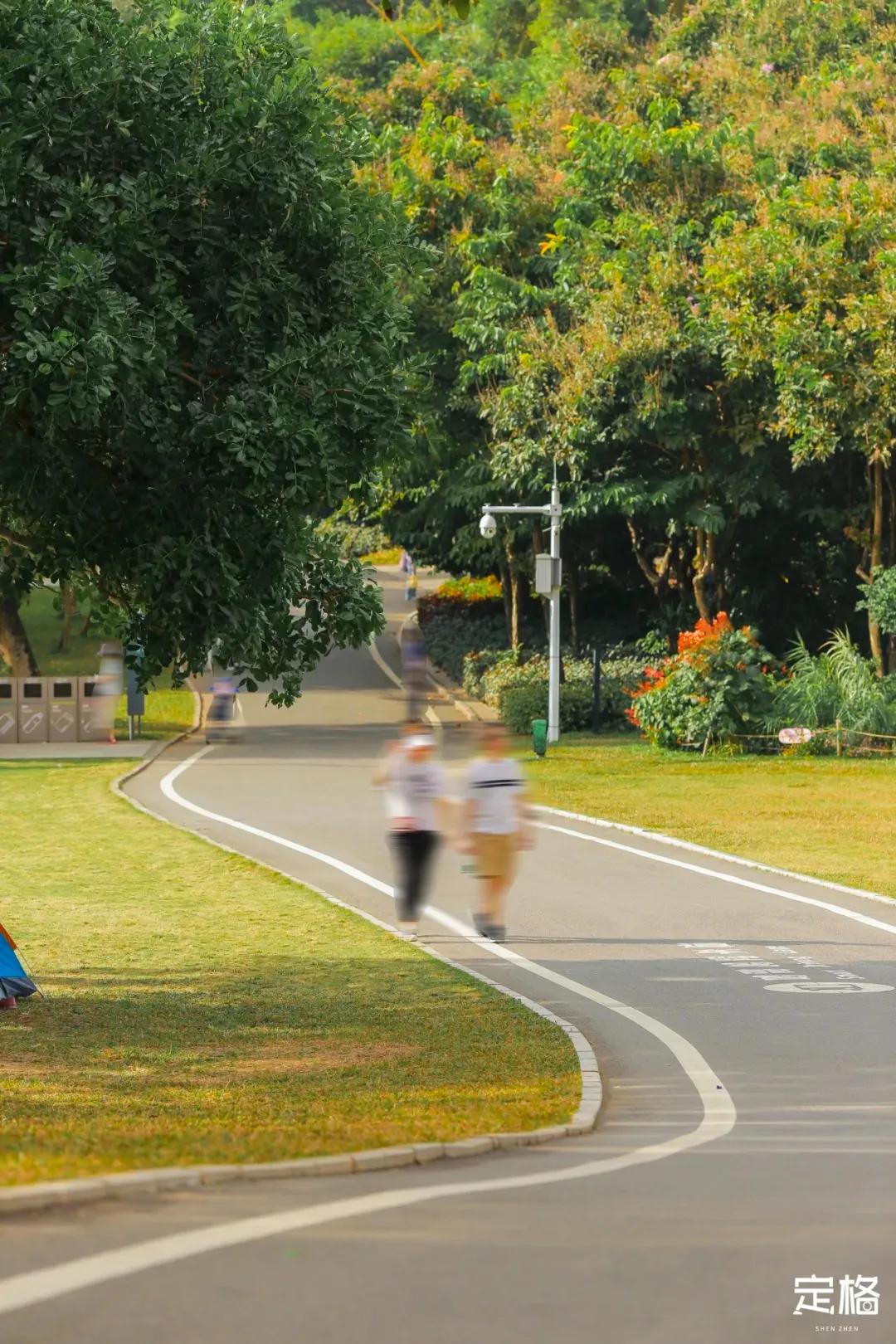深圳最值得爬的景点,深圳十大最值得爬的山