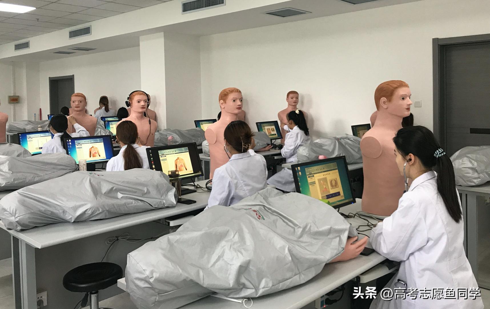 女孩专科就业率高的5个好专业,专科专业就业率排行榜