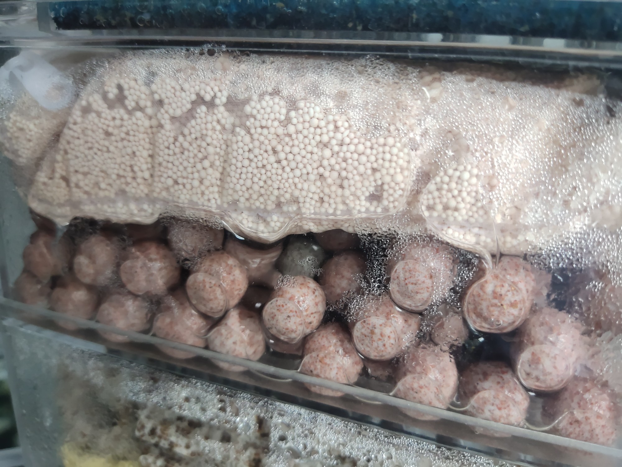 鱼缸下黄粉几天失效,鱼缸下完黄粉还算好水吗