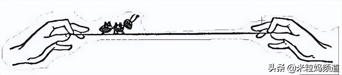 适合小学中高年级读的书推荐,适合2年级读的课外阅读书书单