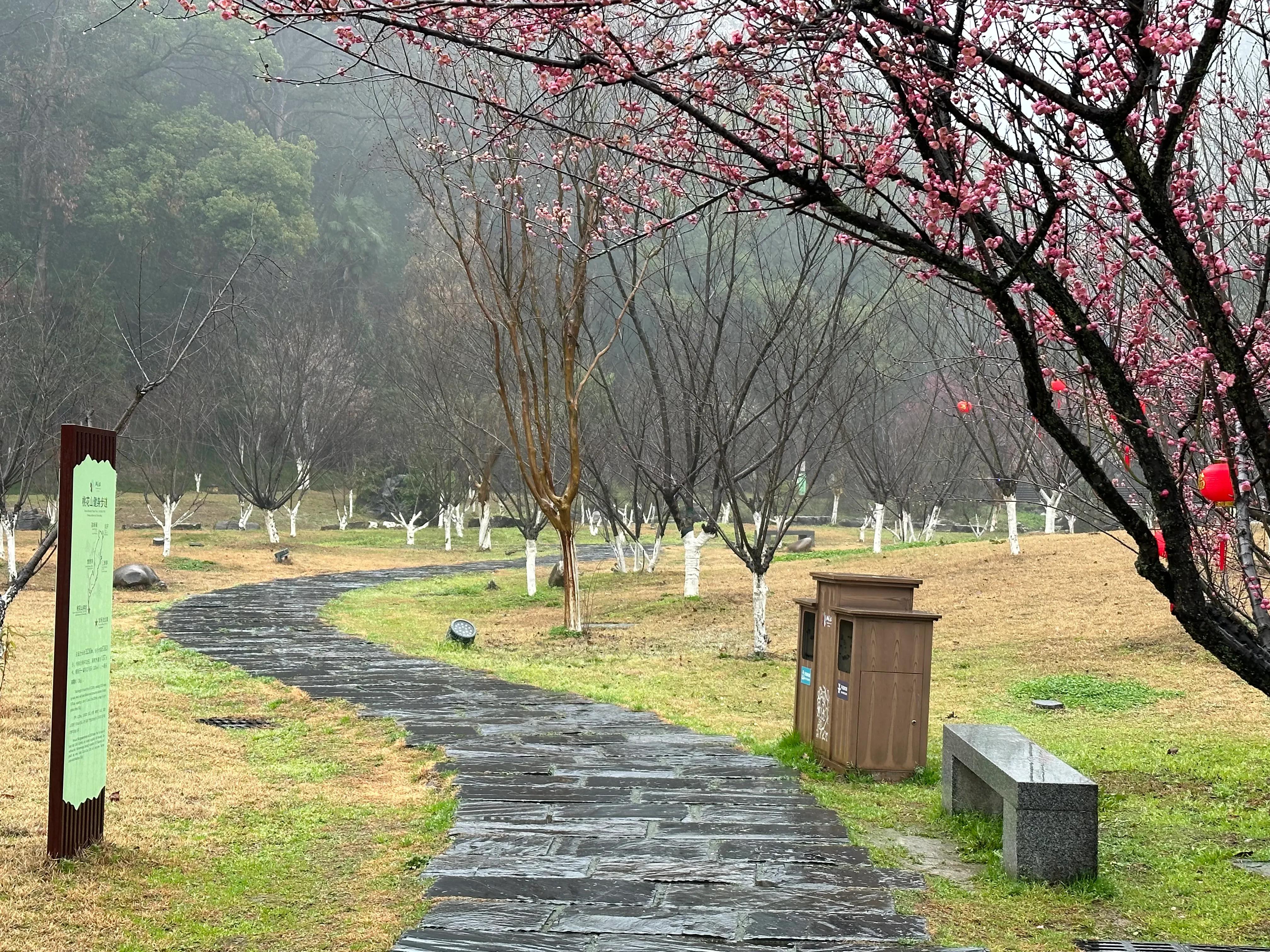 2022年6月张家界天门山自驾一日游,去张家界天门山景点攻略图