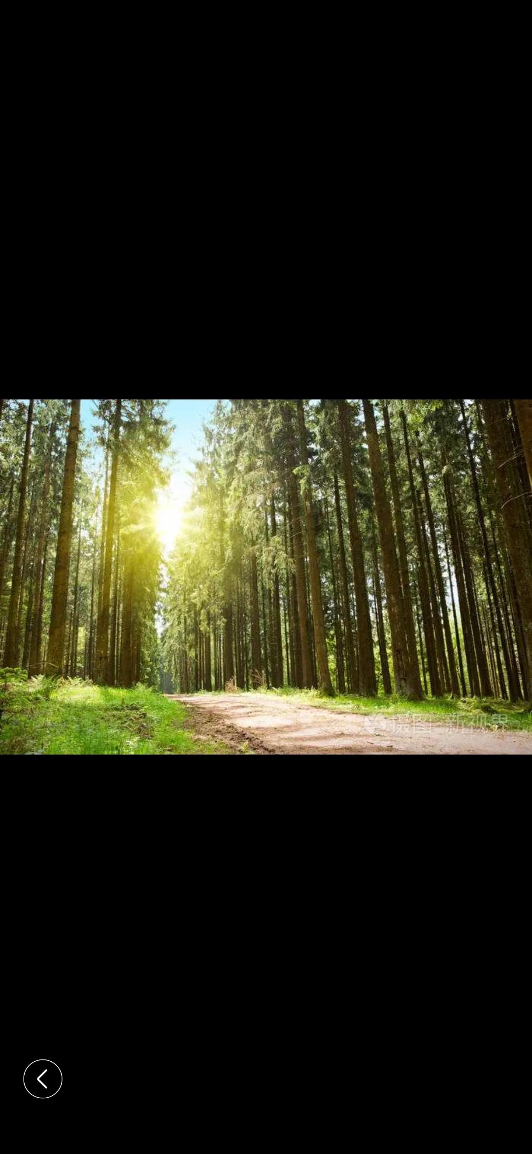 小猴子学艺,小猴子学什么才艺好