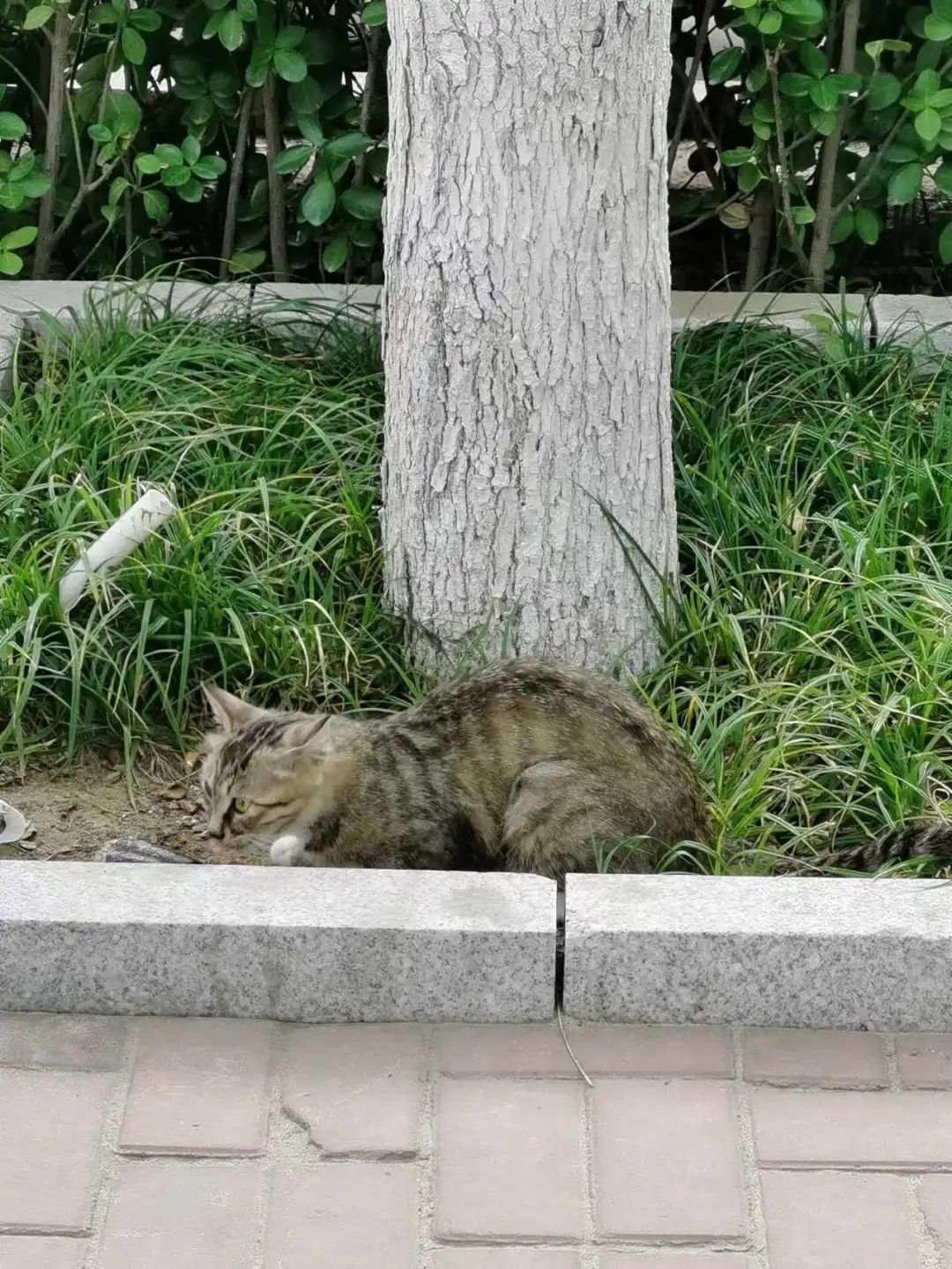 如何成为一名优秀的穿搭师,如何找到适合自己的组搭子