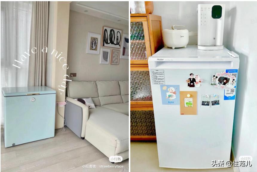 人人抢破头的冰柜，我劝你先别买