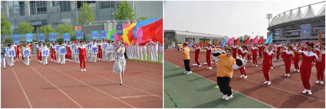 齐聚赛场共向未来——集团第一届职工运动会圆满召开