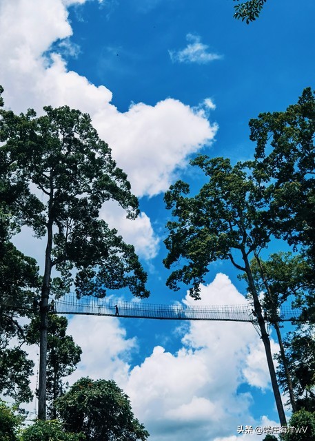 云南周边旅游景点推荐自驾游,2022云南旅游景点攻略自由行