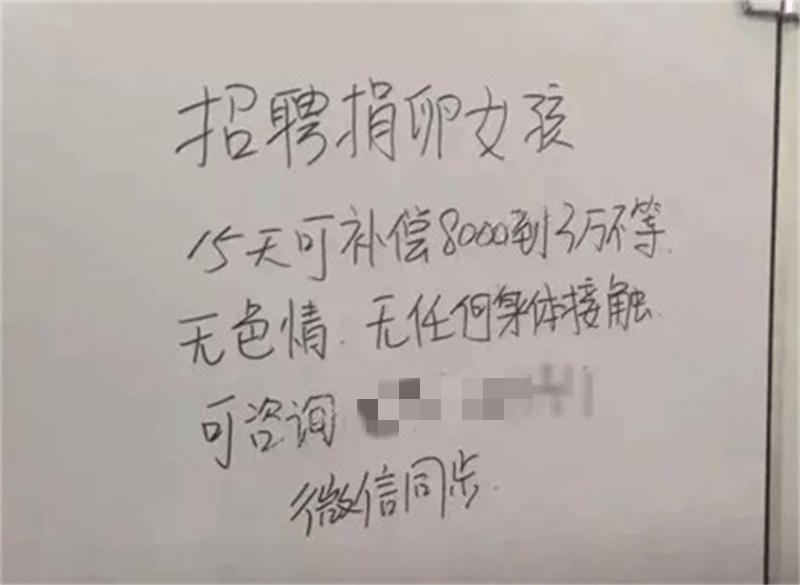 厕所的高薪兼职,公厕高薪兼职