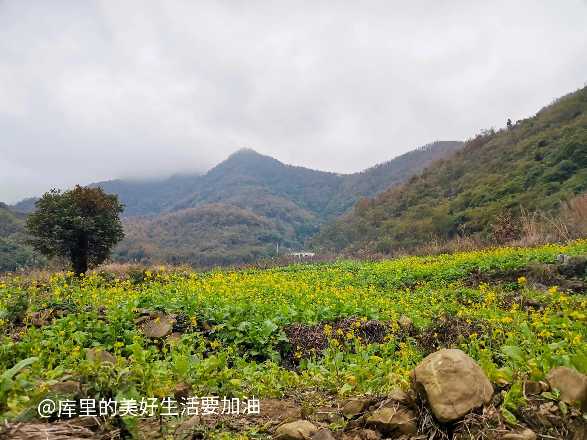 三个最赚钱的行业,十大冷门赚钱行业排行榜