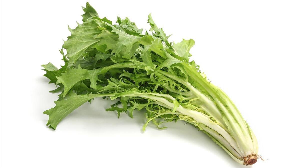 夏天降火气吃什么好呢,夏季如何去火排毒养生