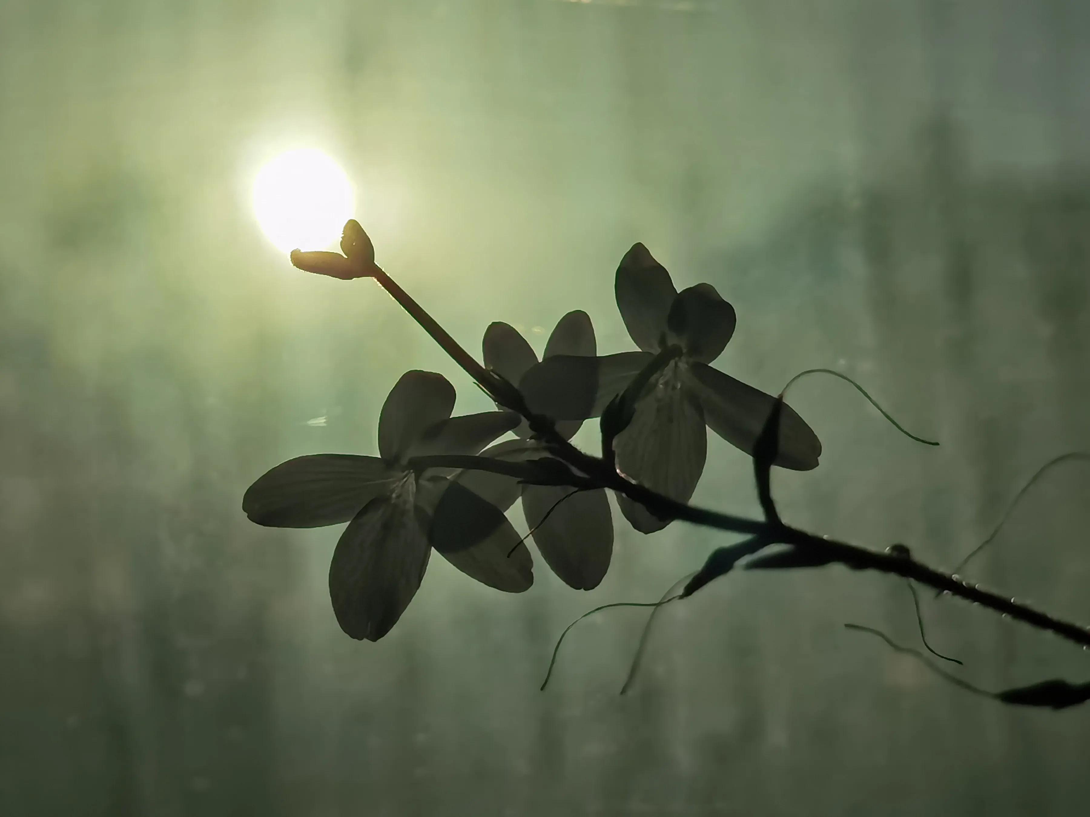 鎵嬫媿涓栫晫鎽勫奖浜ゆ祦骞冲彴,鎵嬫媿涓栫晫鎵嬫満鎽勫奖骞冲彴