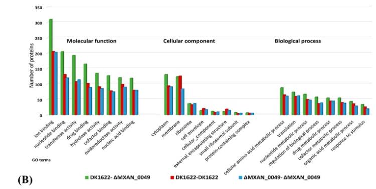 蛋白质组学基因组学转录组学,蛋白质组学在肿瘤的应用