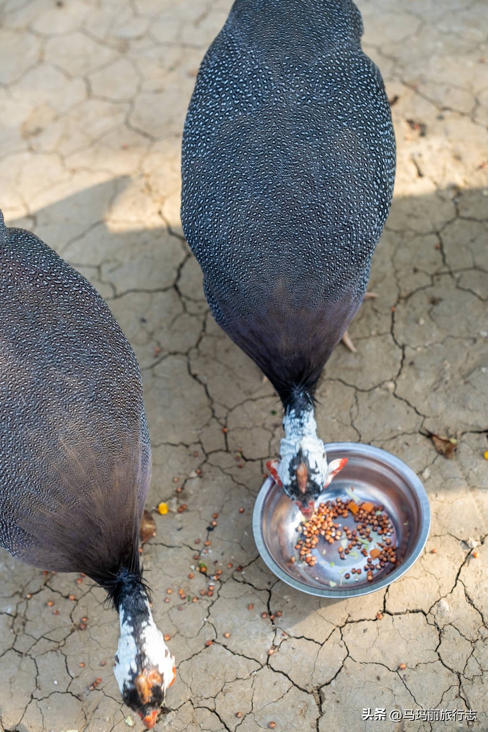 宿州到底有多好耍的地方,宿州有哪里值得去的地方