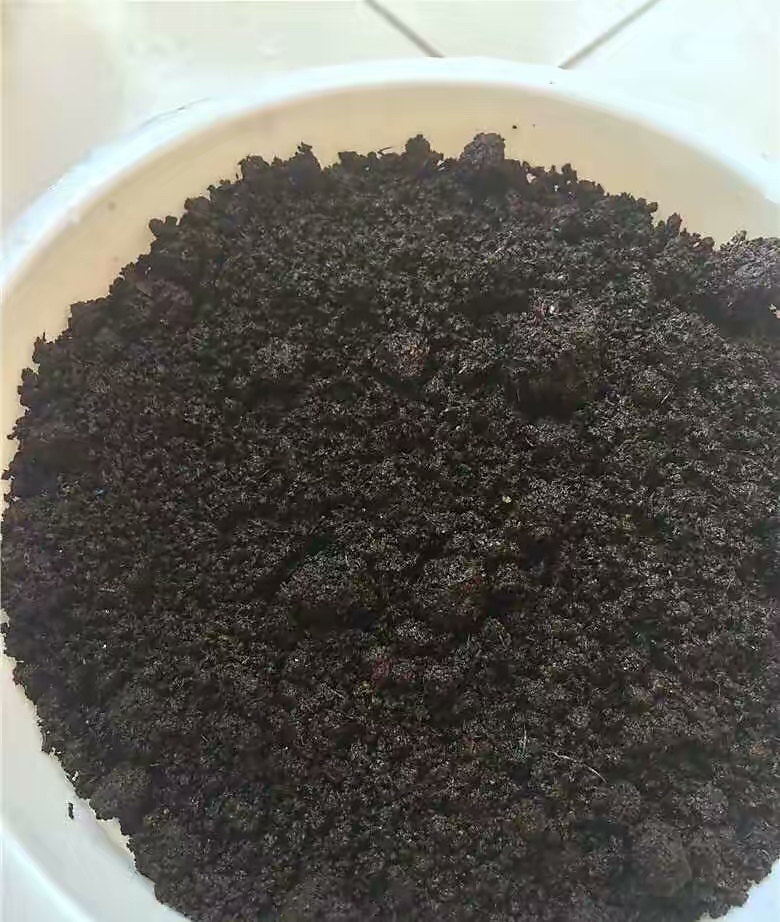 阳台种菜的最佳方法,阳台种菜的方法和技巧大全