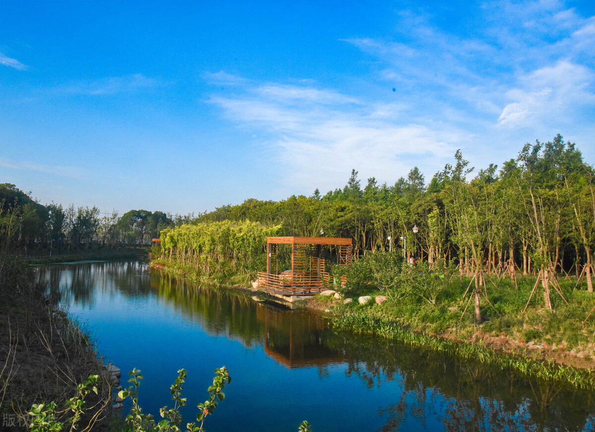 上海踏青2022,上海踏青最佳景点2021