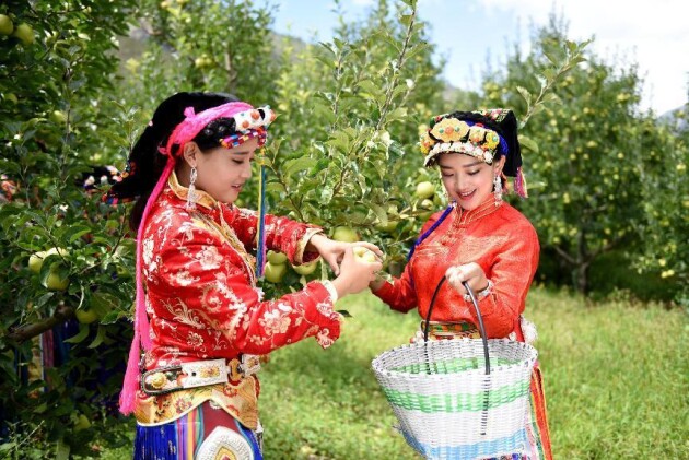 小金县扶贫,小金助力三农