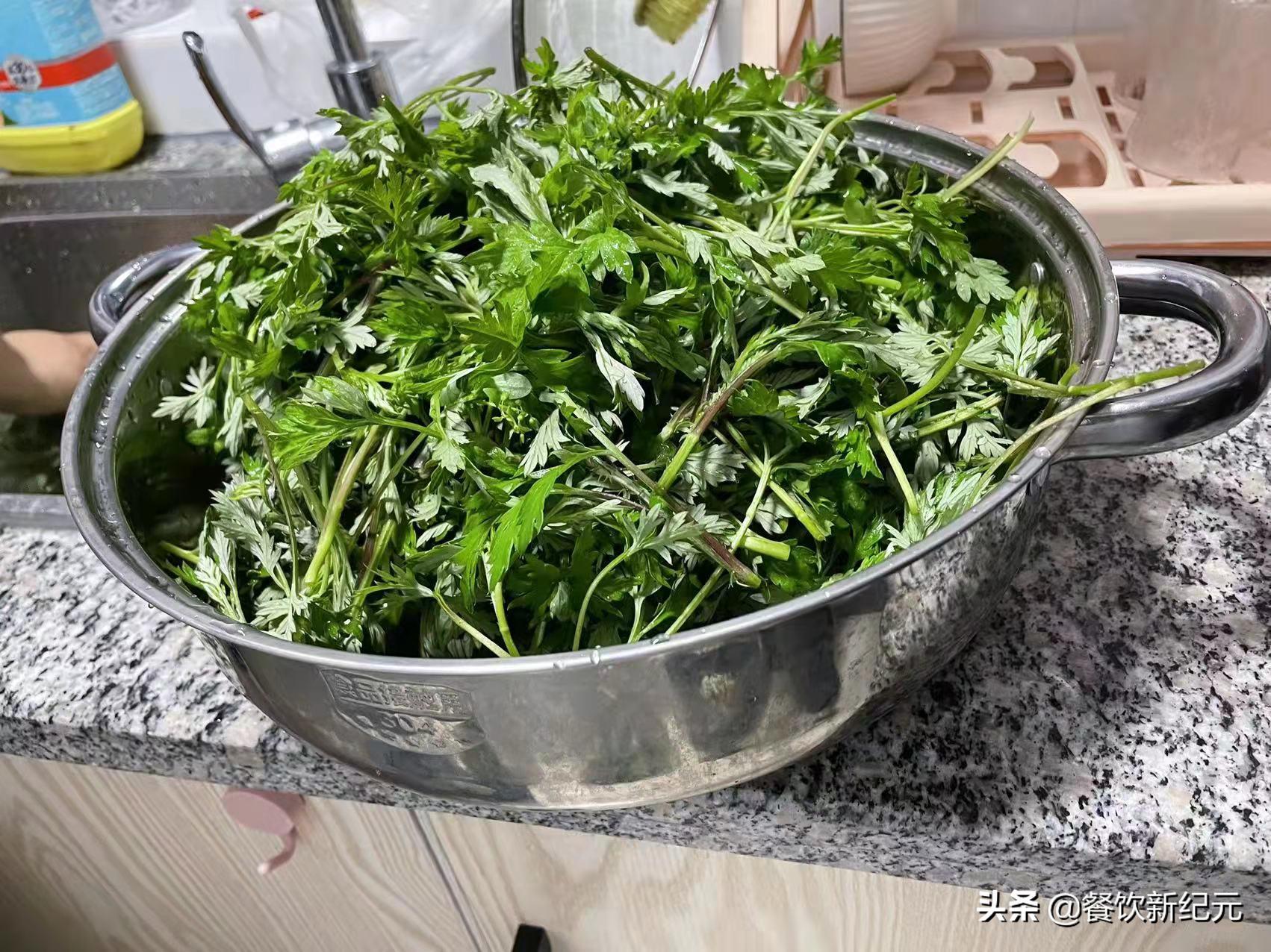 宅家不出门，上海女子在小区绿化带摘艾草，却遭网友狂吐槽