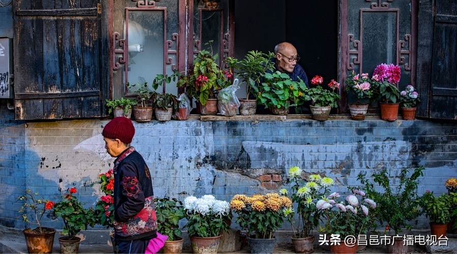 见证潍坊｜凝固的时光