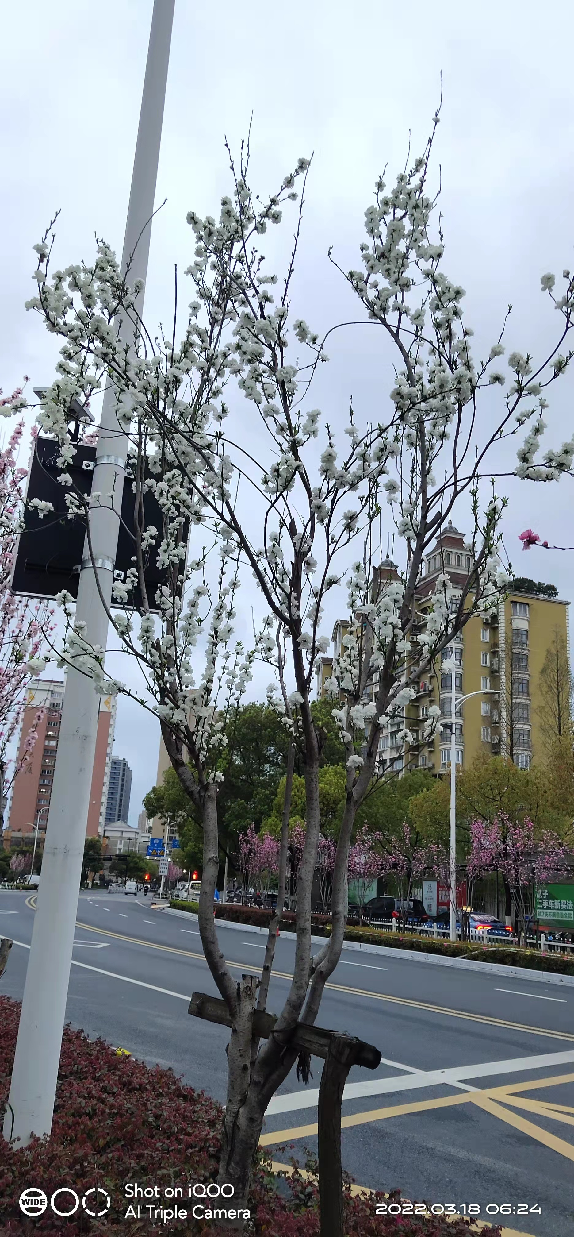 萧山风景拍照打卡地,萧山网红打卡景点春季