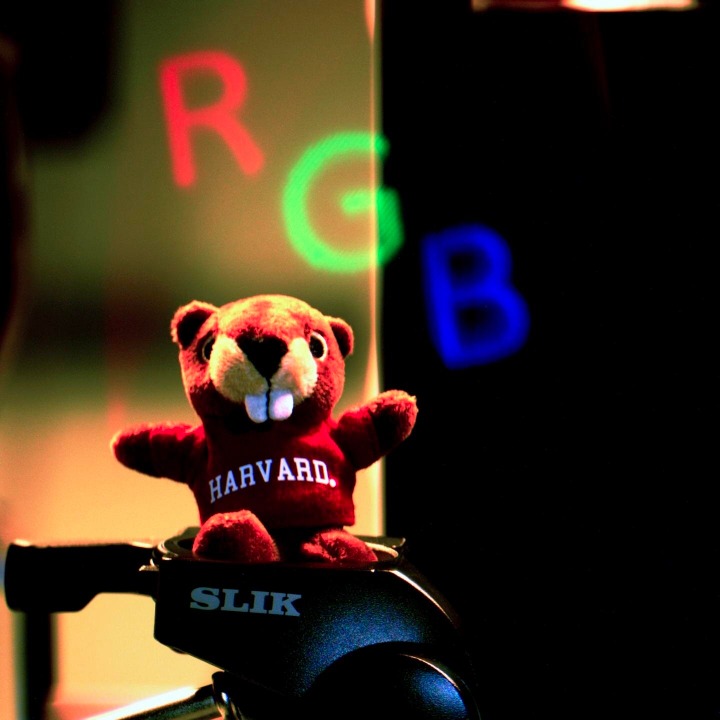 苹果ar眼镜运用的光学技术,苹果头显眼镜最新黑科技