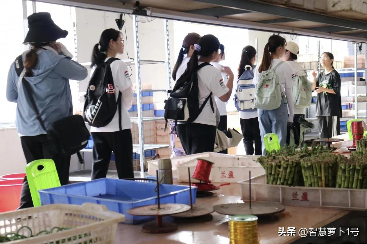 振兴美丽乡村体验别样风情,参观乡村振兴示范村建设成效