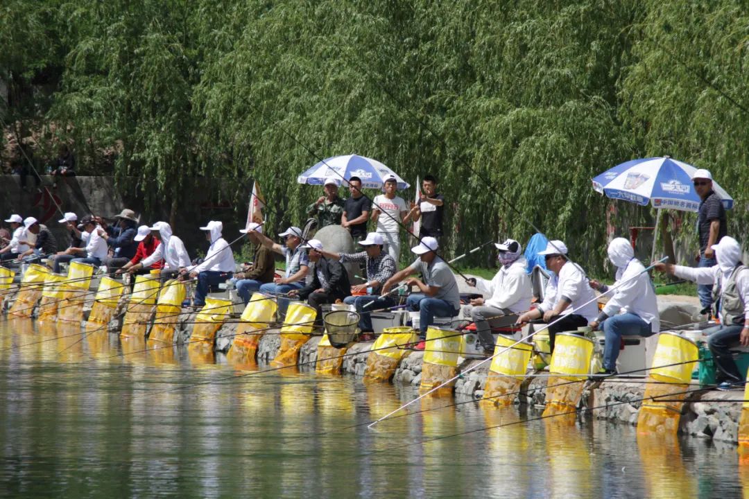 休闲农业与乡村旅游项目分析,休闲农业与乡村旅游什么时候开始
