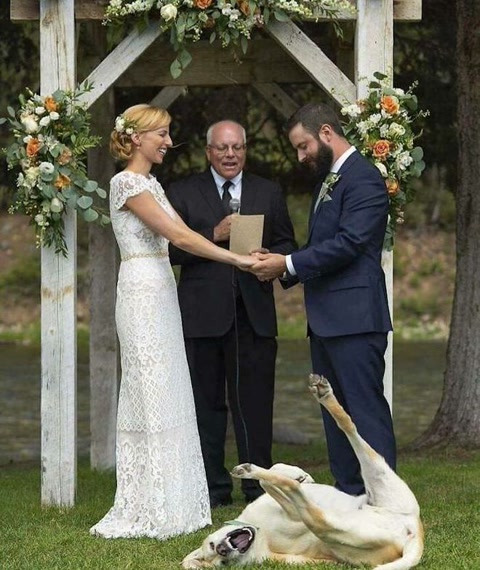 十大经典抓拍照片,100张绝美摄影照片