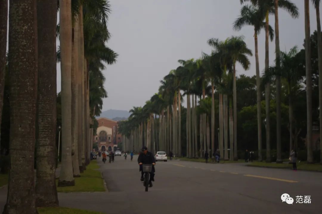 新手单反相机购买怎么不被坑,新手小白单反相机避坑