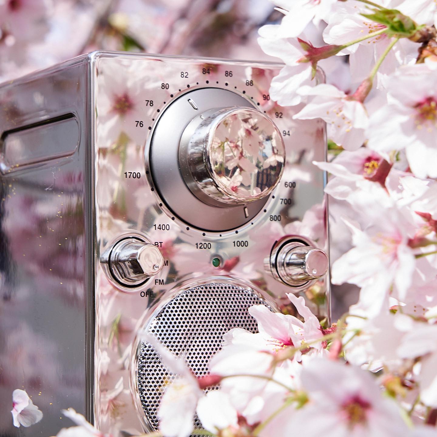 便携音箱测评|国庆出游好伴侣！被PALBT这台“彩色小野马”拿捏了