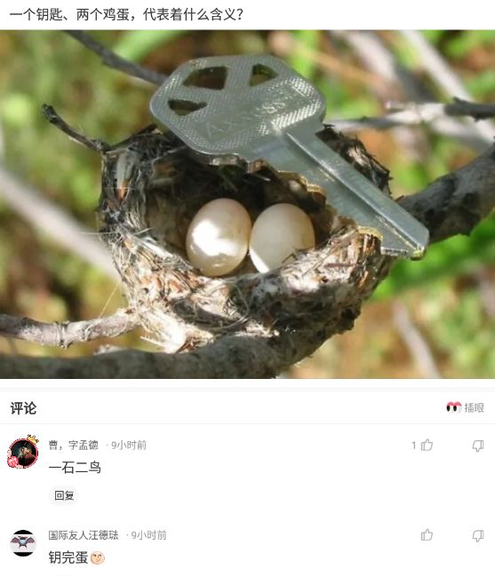 新买的板鞋质量好吗,新买的板鞋气味很重质量好吗