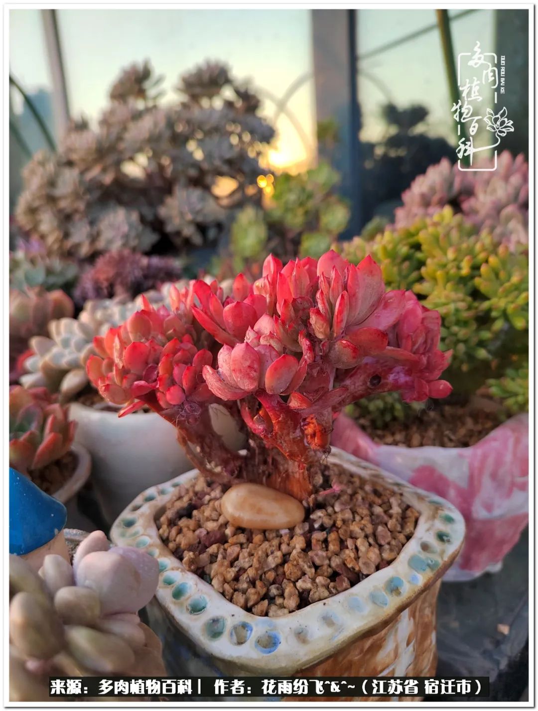 回味童年无忧无虑的快乐时光,童年最快乐的时光